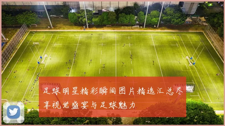 足球明星精彩瞬间图片精选汇总尽享视觉盛宴与足球魅力