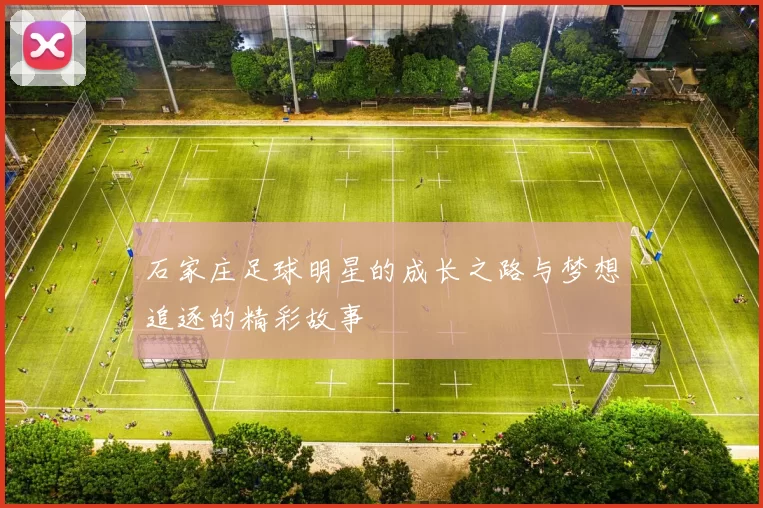 石家庄足球明星的成长之路与梦想追逐的精彩故事