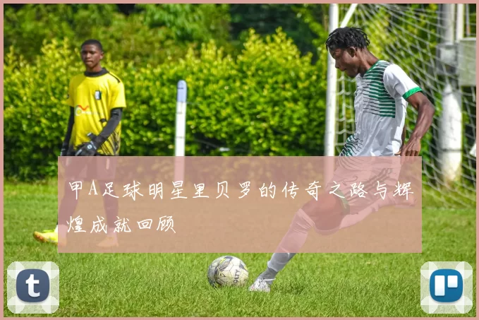 甲A足球明星里贝罗的传奇之路与辉煌成就回顾