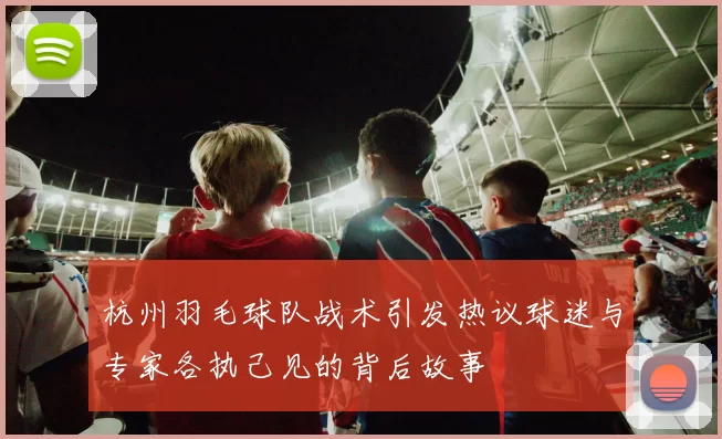 杭州羽毛球队战术引发热议球迷与专家各执己见的背后故事
