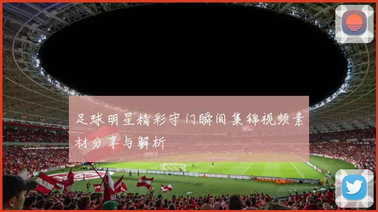 足球明星精彩守门瞬间集锦视频素材分享与解析