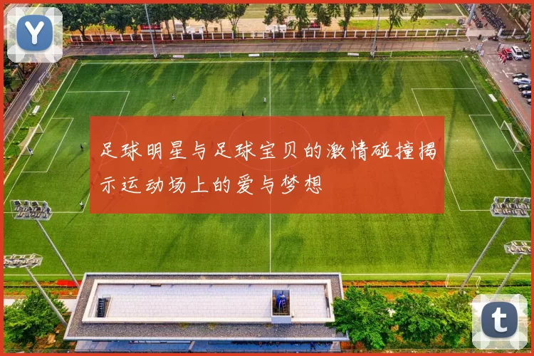 足球明星与足球宝贝的激情碰撞揭示运动场上的爱与梦想