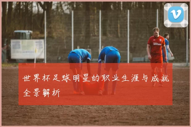 世界杯足球明星的职业生涯与成就全景解析