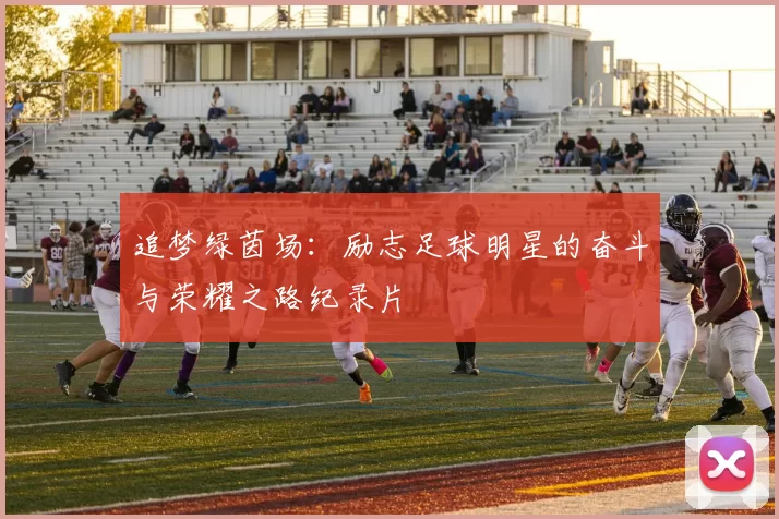 追梦绿茵场：励志足球明星的奋斗与荣耀之路纪录片