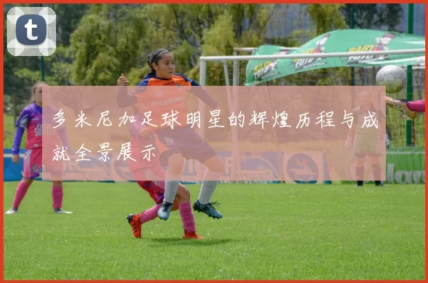 多米尼加足球明星的辉煌历程与成就全景展示