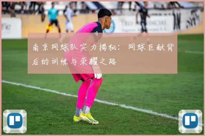 南京网球队实力揭秘：网球巨献背后的训练与荣耀之路
