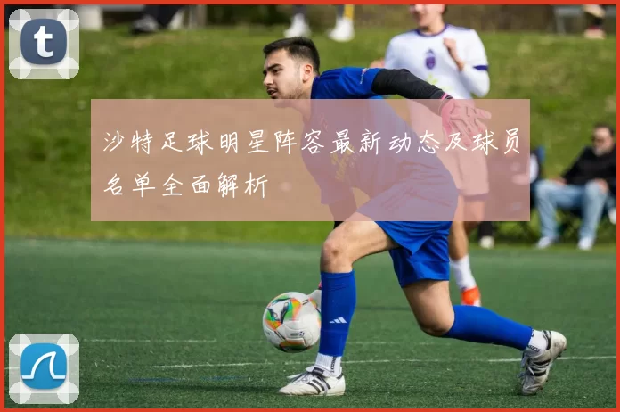 沙特足球明星阵容最新动态及球员名单全面解析