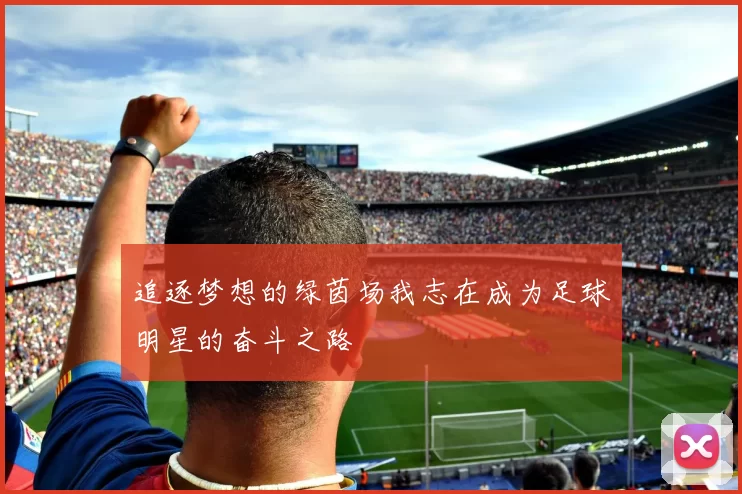 追逐梦想的绿茵场我志在成为足球明星的奋斗之路
